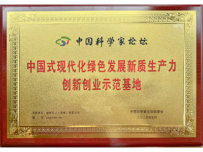 honor 2024 g03